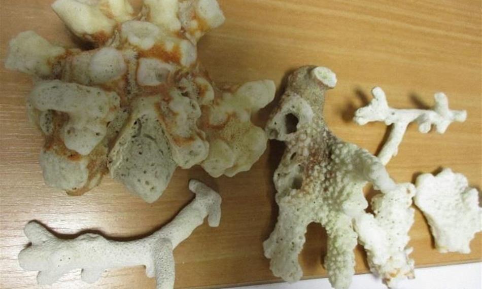 2017-10-16-1423foto 1.jpg